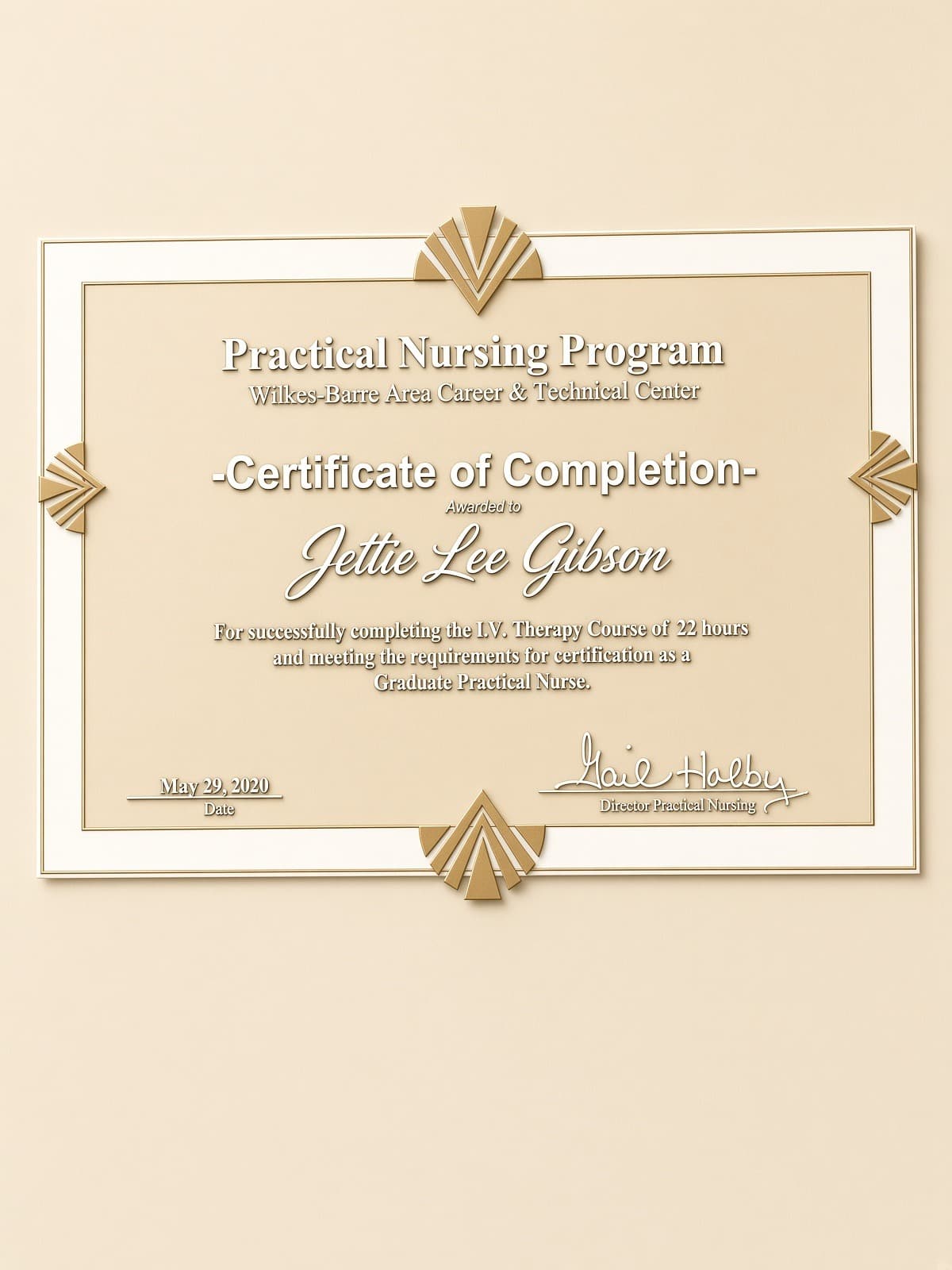 Certificate of completion for a 22 hour I.V. therapy course in a practical nursing program, dated 2020.